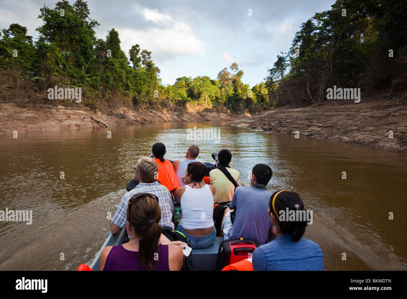 Zio Tans wildlife crociera su un affluente del fiume Kinabatangan, Sabah Borneo Malese. Foto Stock