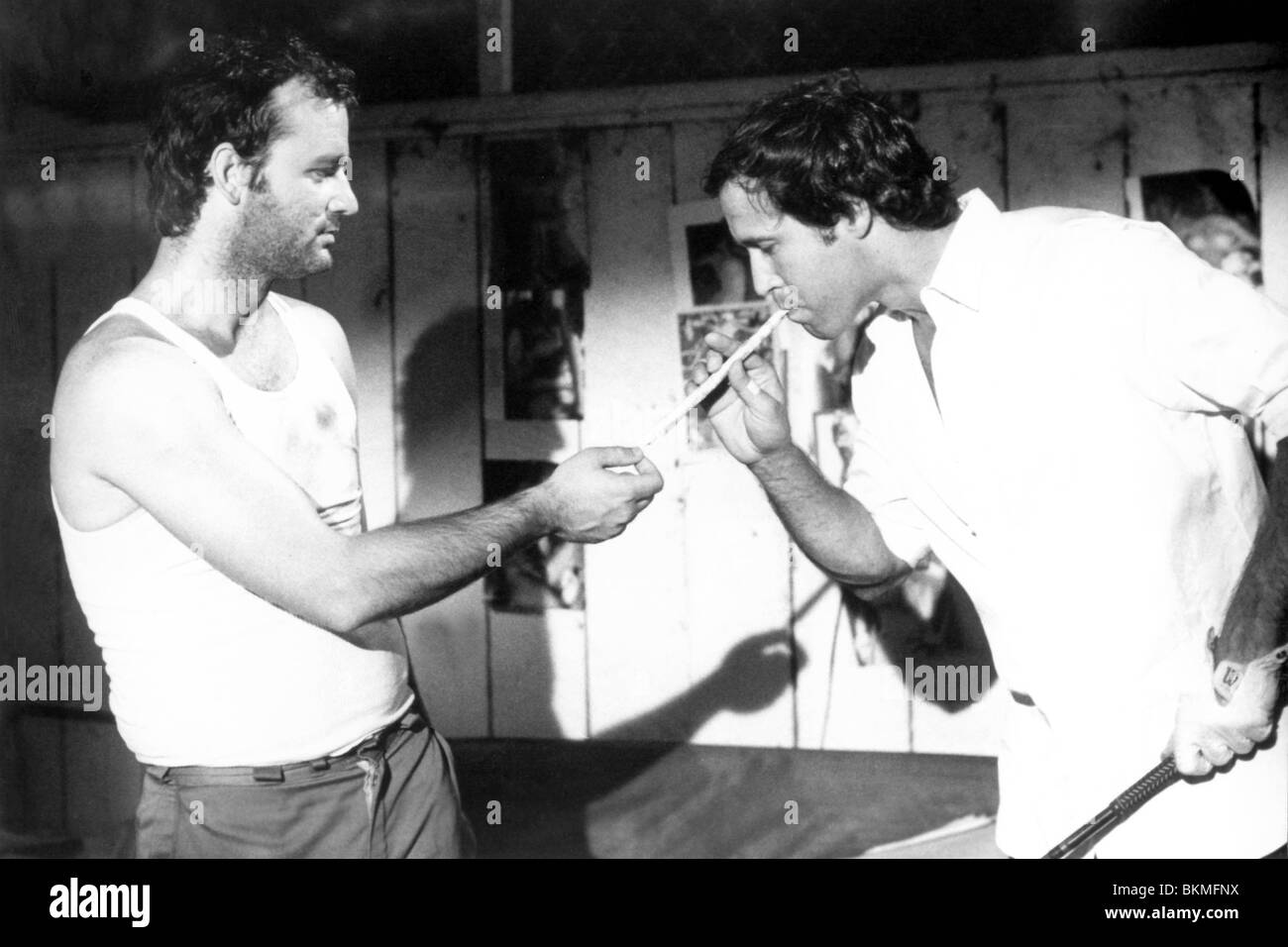 CADDYSHACK (1980), Bill Murray, CHAEVY CHASE CD 001P Foto Stock