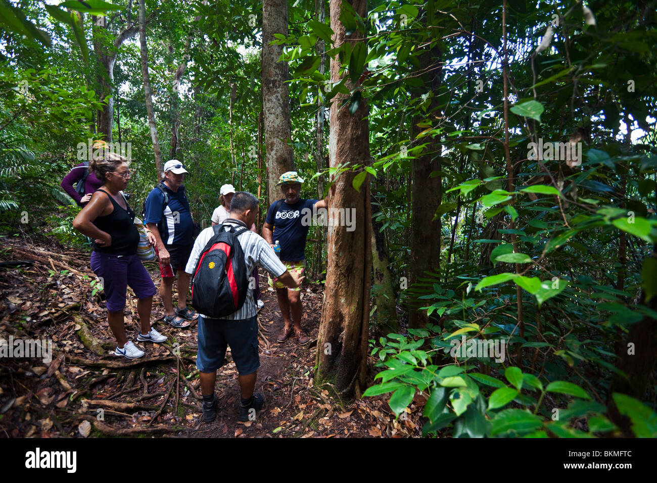 Gruppo su un sentiero a piedi nel Bako National Park. Kuching, Sarawak, Borneo Malese. Foto Stock