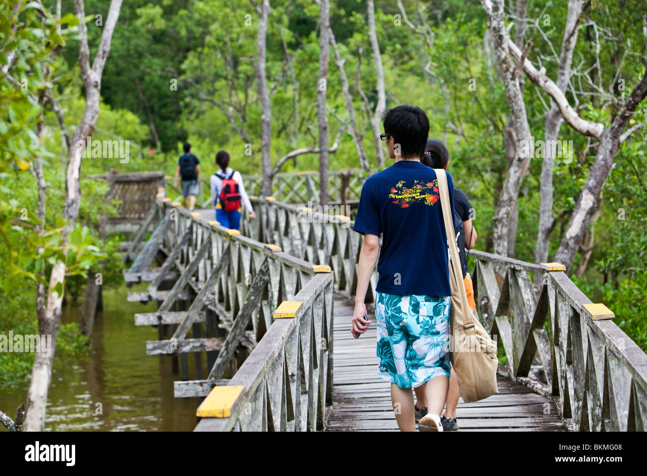 I turisti a piedi lungo la foresta di mangrovie boardwalk in Teluk Assam. Bako National Park, Kuching, Sarawak, Borneo Malese. Foto Stock