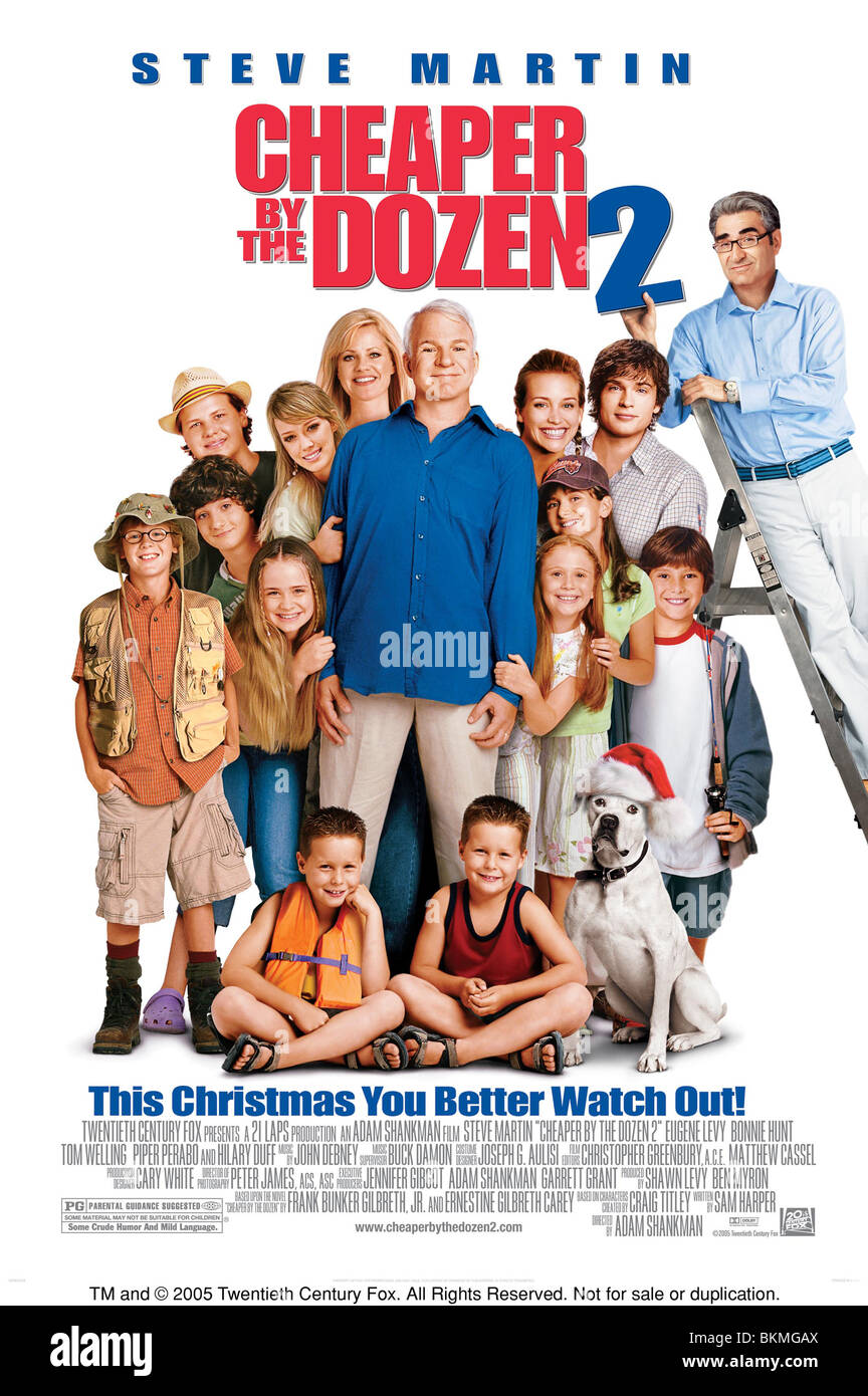 Più poco costoso dai dozzina 2 (2005) POSTER CDOZ 001-14 Foto Stock