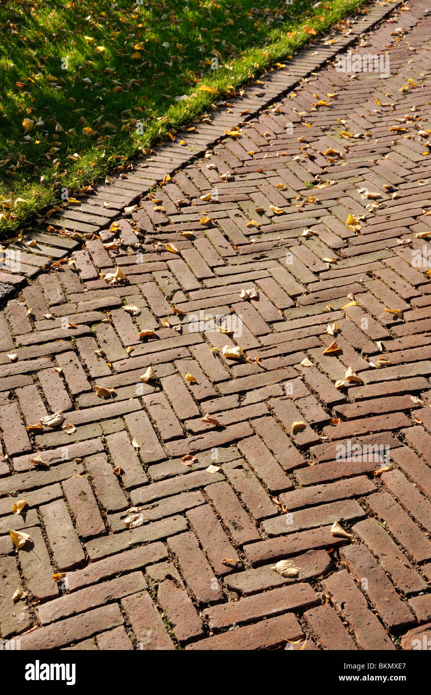 Percorso del giardino con linee a spina di pesce Foto Stock
