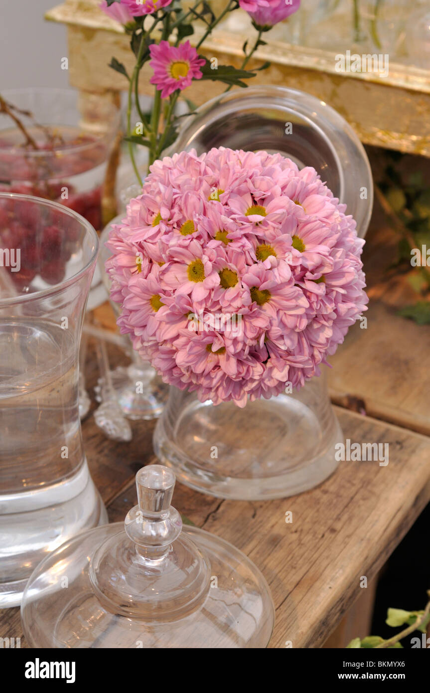Decorazioni per la tavola con i crisantemi (crisantemo) Foto Stock