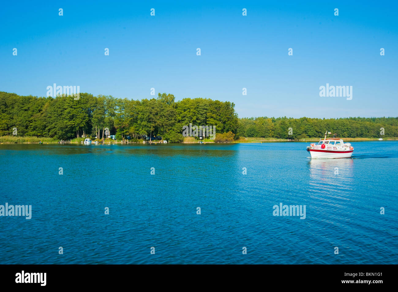 Barca su Jabelscher vedere, vicino lago di Muritz, Mecklenburg Western-Pomerania, Germania Foto Stock