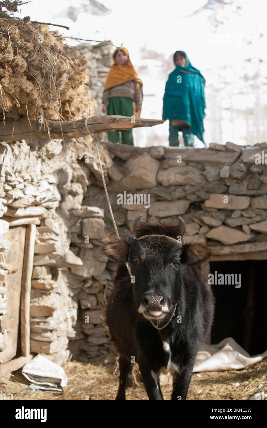 La vita del villaggio nel biglietto distretto settentrionale il Pakistan Foto Stock