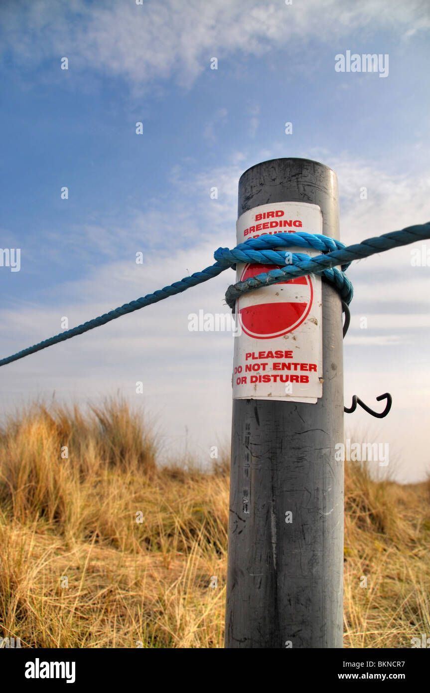 Un cordoned fuori area su una spiaggia con "uccello allevamento e 'Non immettere o disturbare' segno su un post. Foto Stock