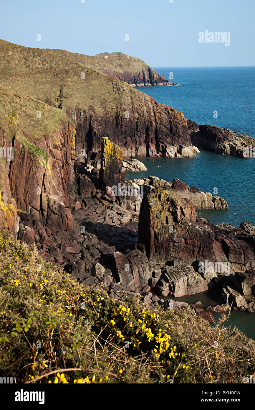 Costa rocciosa nei pressi di Manorbier su Il Pembrokeshire Coast path Wales UK Foto Stock