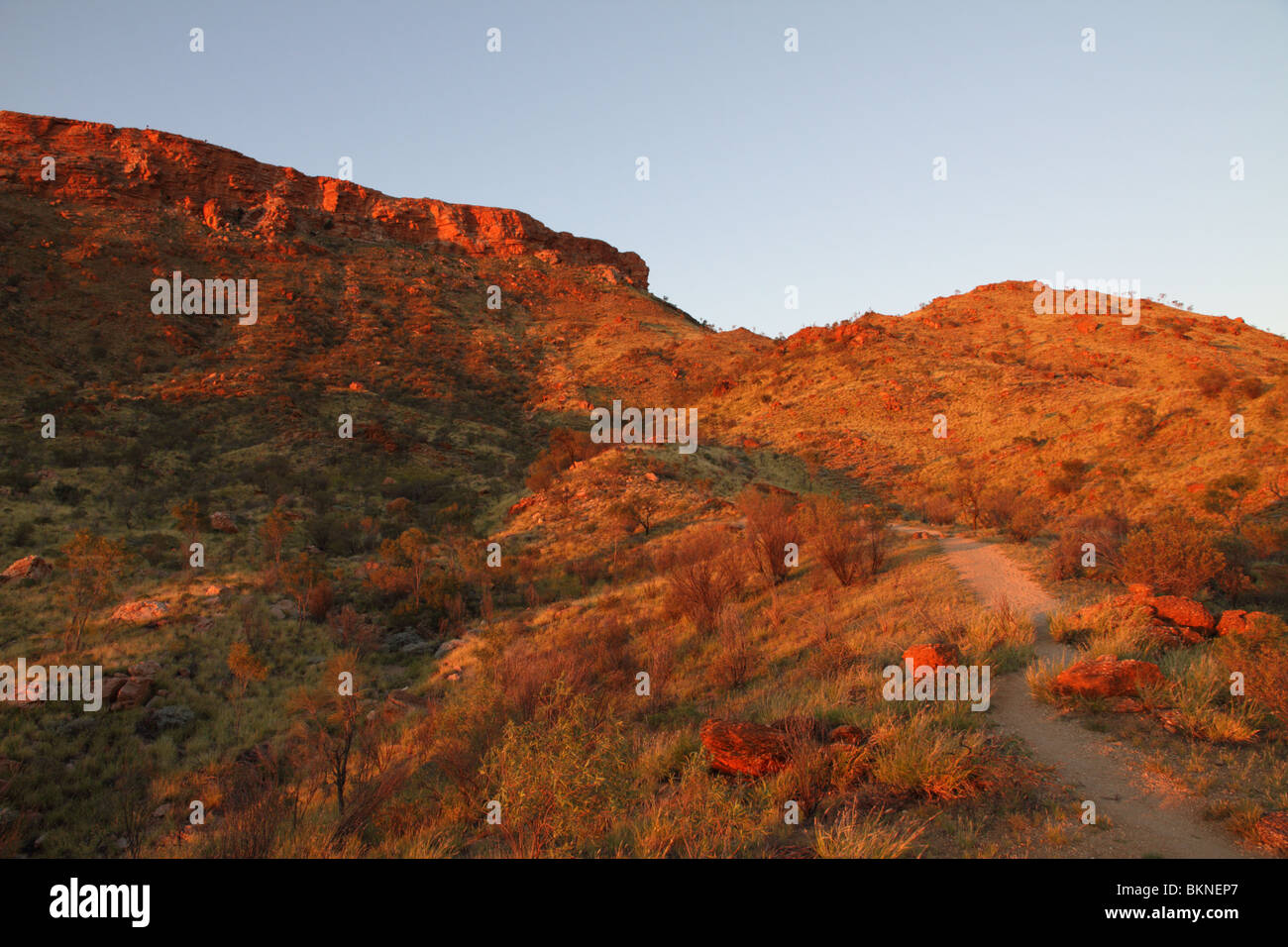 Il percorso fino al Monte Gillen nel West MacDonnell intervallo vicino ad Alice Springs. Territorio del Nord, l'Australia Foto Stock