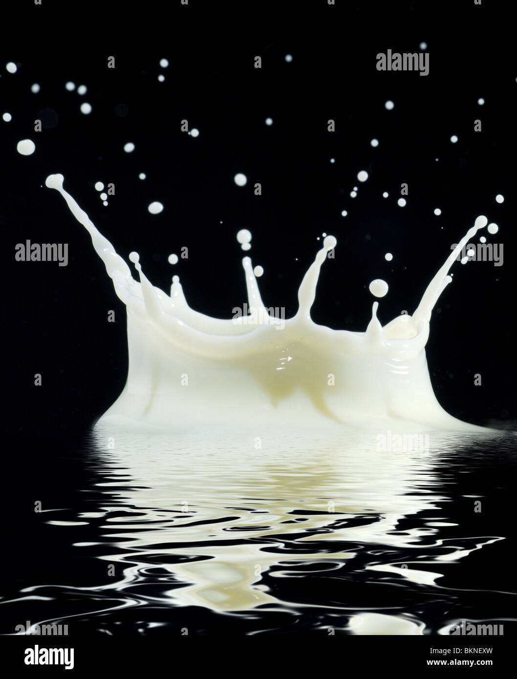 Extreme close-up immagine di un latte splash Foto Stock