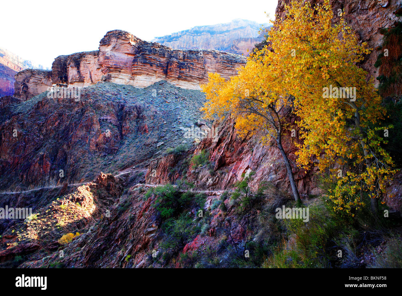 Il Bright Angel trail tra giardino indiano e Devil's cavatappi nel tardo autunno nel Parco Nazionale del Grand Canyon, Arizona, Stati Uniti d'America Foto Stock
