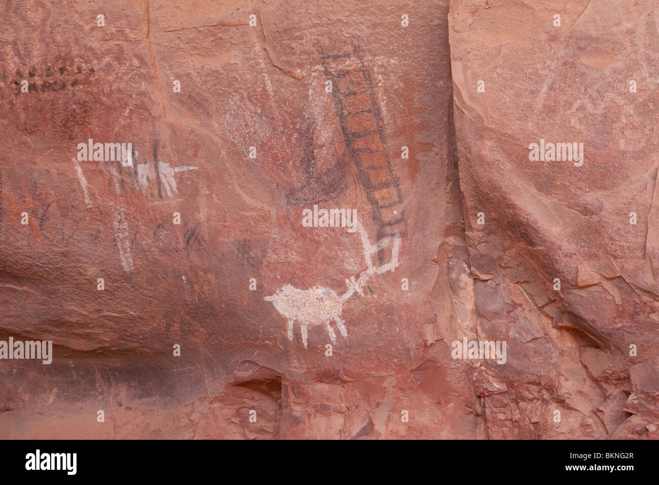 Palatki,Cliff,Casa,sedona,Arizona,indiana, Stati Uniti d'America Foto Stock