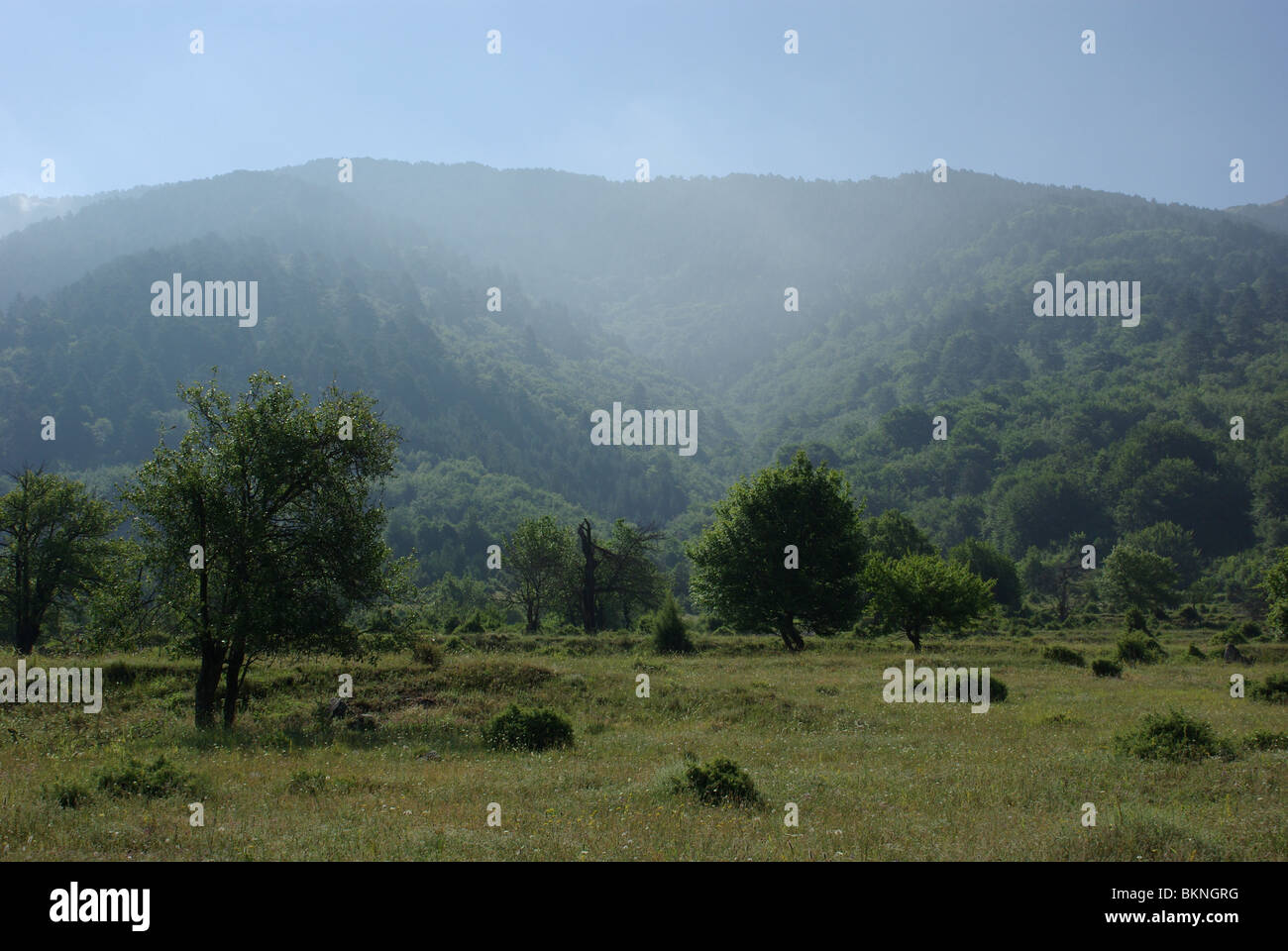 Uitzicht op bergen incontrato vallei Alibotus aan grens van Bulgarije en Griekenland Foto Stock