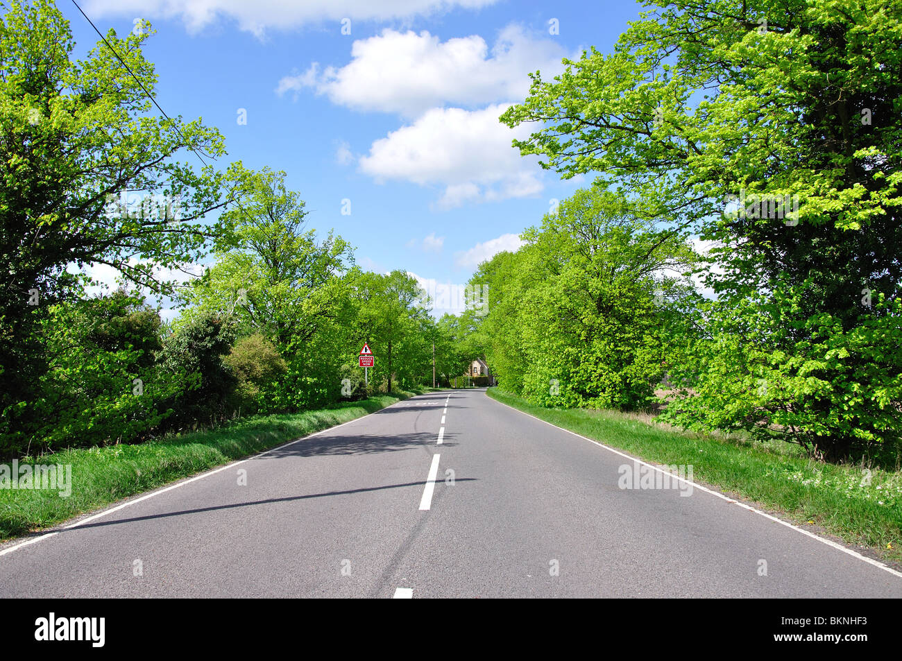 Strada tranquilla vicino a Sandy, Bedfordshire, England, Regno Unito Foto Stock
