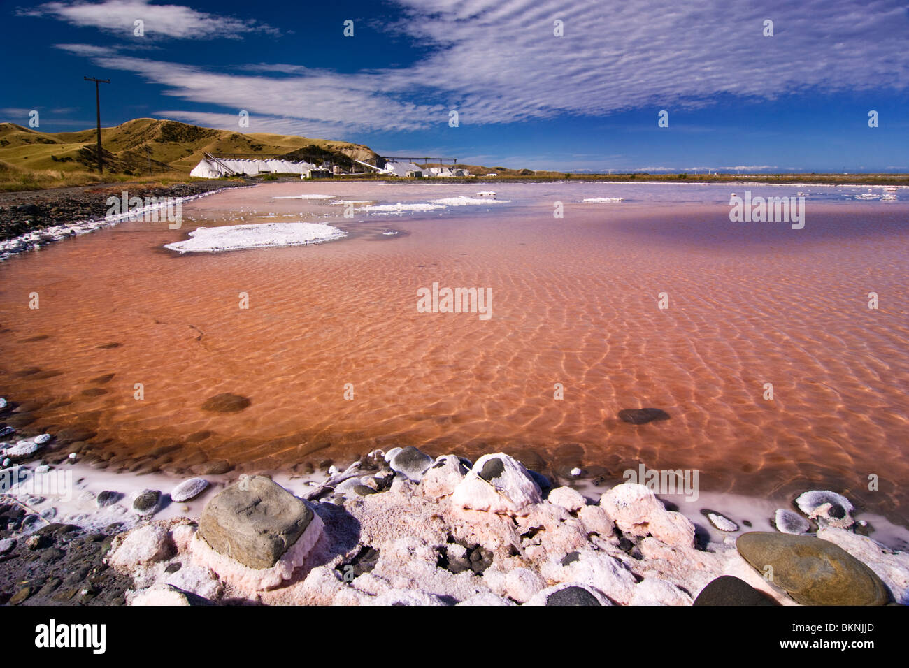 Stagni di cristallizzazione al Lago Grassmere saline, Marlborough, Nuova Zelanda. Foto Stock