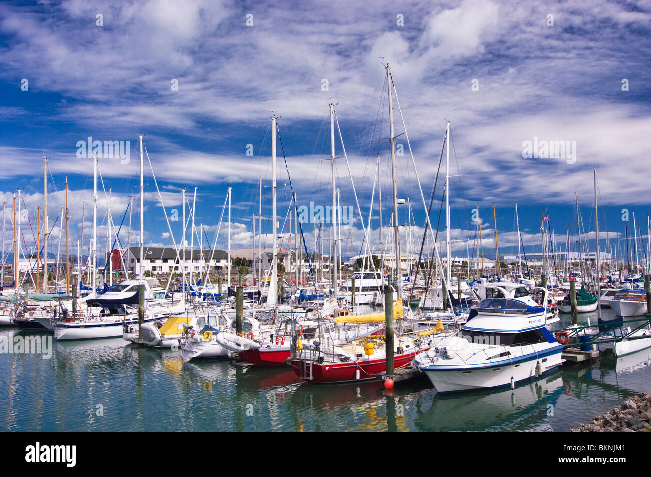 Yacht e lance a motore ormeggiata in un porto turistico, Nelson, Nuova Zelanda Foto Stock