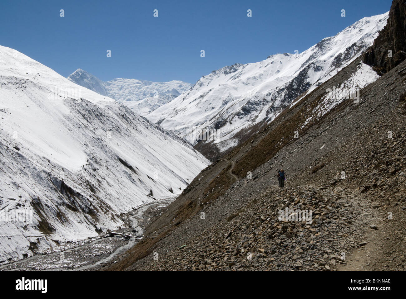 Trekking sulla pista di montagna, Thorung Phedi, Circuito di Annapurna, Nepal Foto Stock