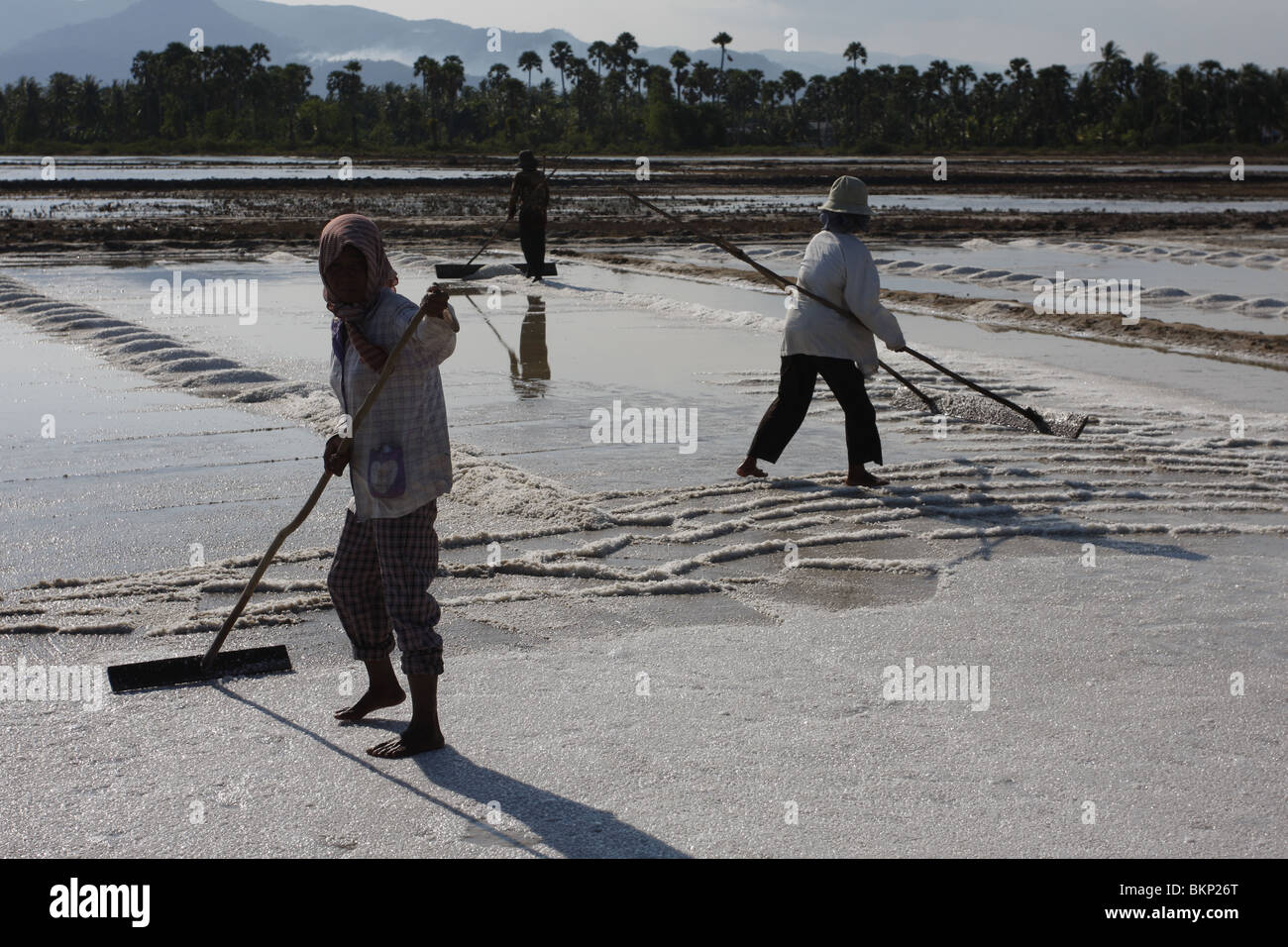 Gli uomini e le donne che lavorano nella faceva un caldo tremendo fattorie di sale di Kampot, Cambogia. Foto Stock