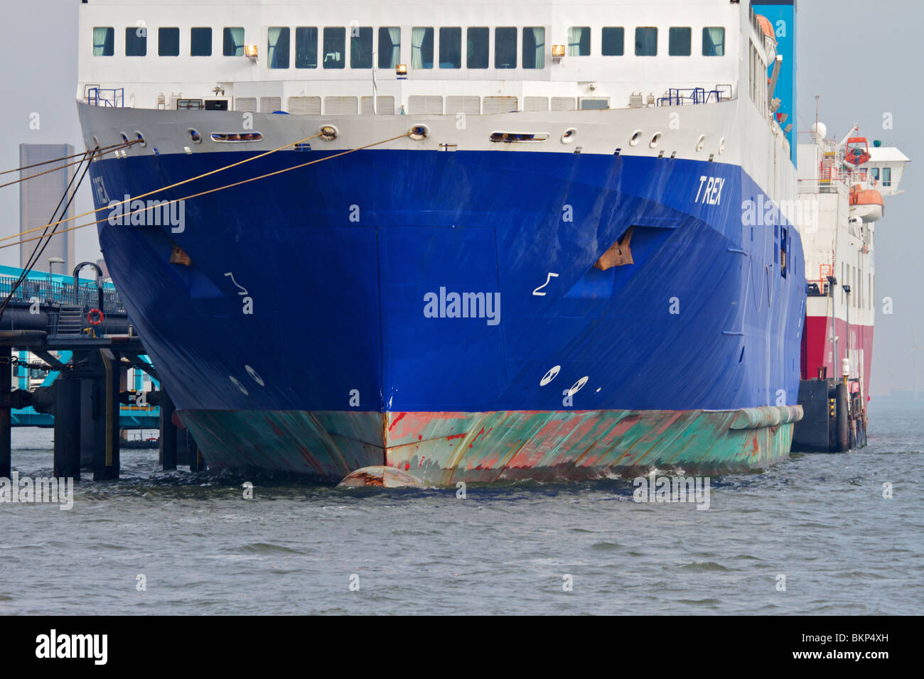 Liverpool/Dublin ferry T REX ormeggiato a Birkenhead Ro-Ro ferry Terminal. Foto Stock