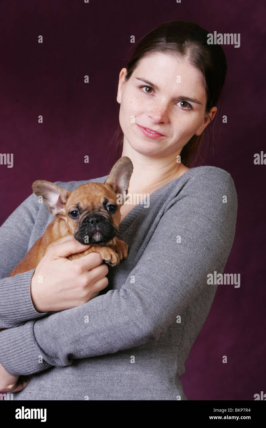 Bulldog francese cucciolo Foto Stock
