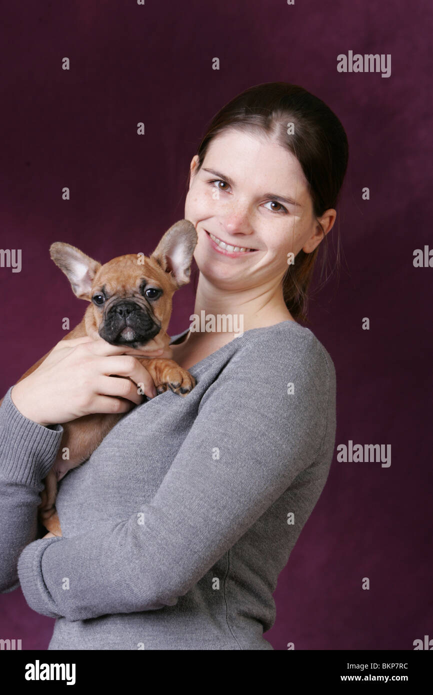 Bulldog francese cucciolo Foto Stock