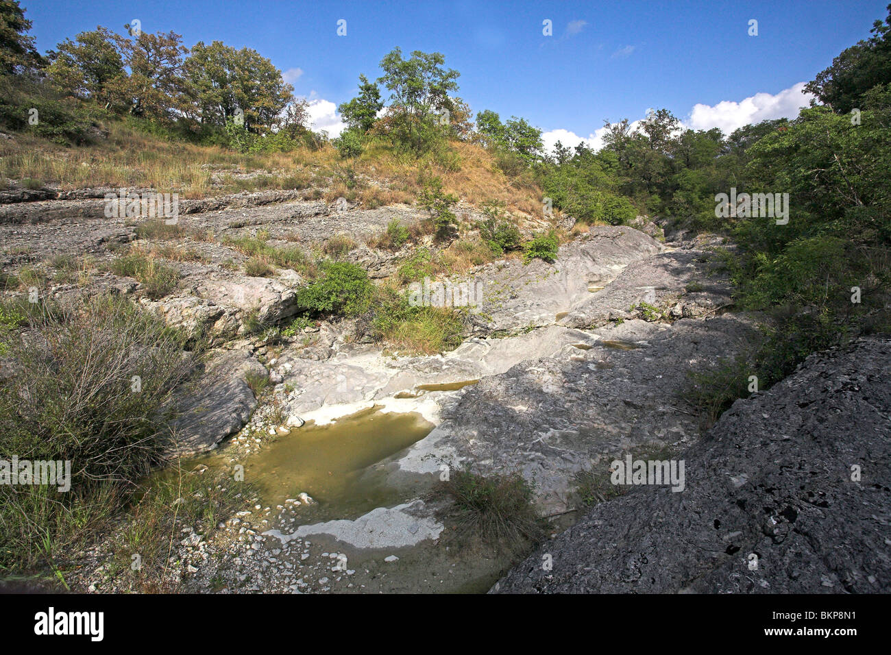 Foto van een doorgevallen rivierbedding in Istrie, habitat natuurlijk van de geelbuikvuurpad; foto di un alveo secco in Istrie, habitat naturale del ventre giallo toad Foto Stock