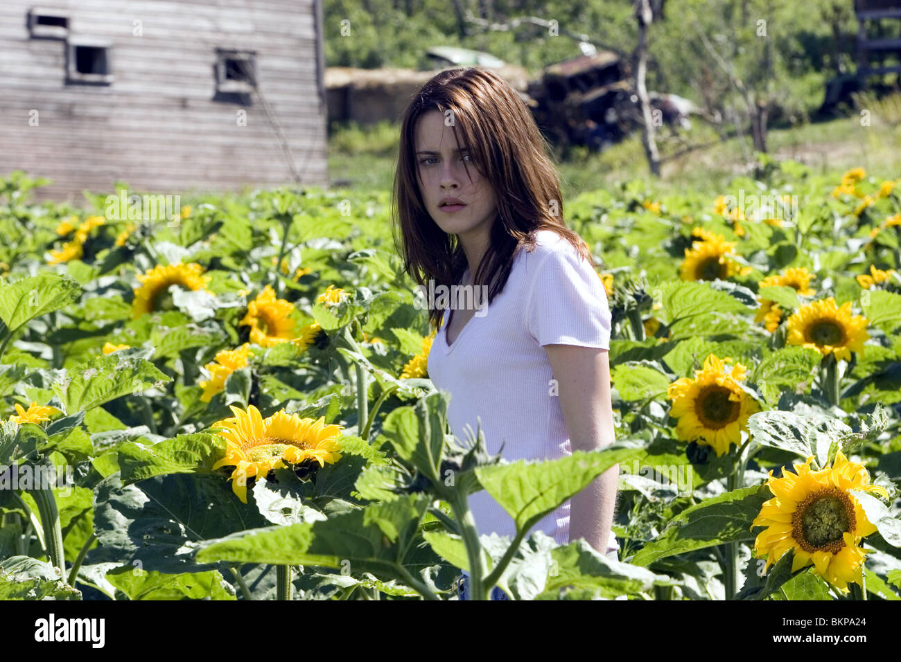 I MESSAGGERI (2007) Kristen Stewart MESG 001-13 Foto Stock