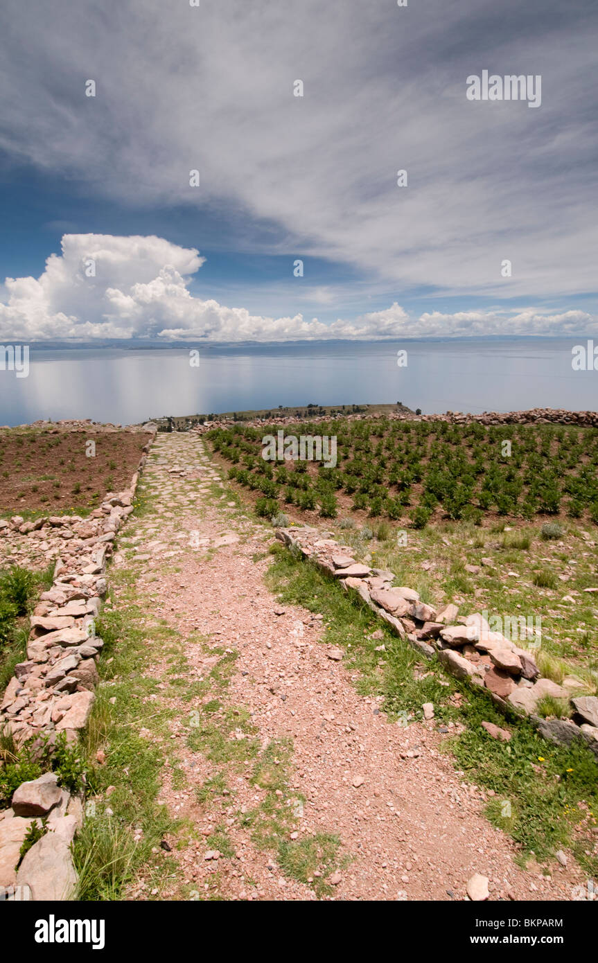 Vista sul lago Titicaca dalla sommità dell Isola Amantani, Perù Foto Stock