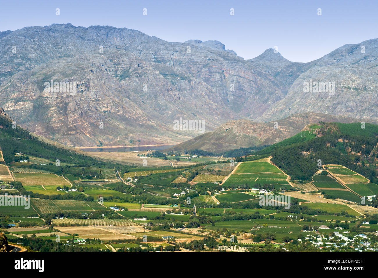 Vista attraverso i vigneti della Valle di Franschhoek, Provincia del Capo Occidentale, Sud Africa. Foto Stock