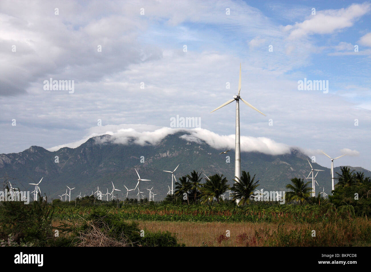 Wind Farm nella zona rurale di thirunelveli,tamilnadu,l'india,asia Foto Stock