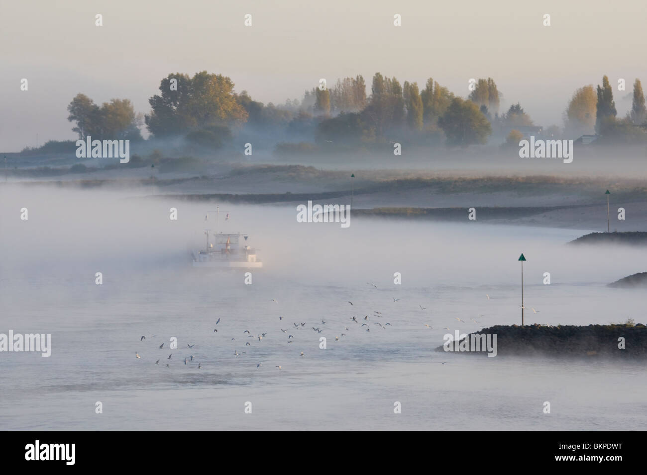 Sfeervolle mistige vroege morgen aan de Waal bij Nijmegen incontrato rijnaak en kribben in de rivier Scenic presto affinché mattina presso il Waal con nebbia, una barca e pennelli Foto Stock