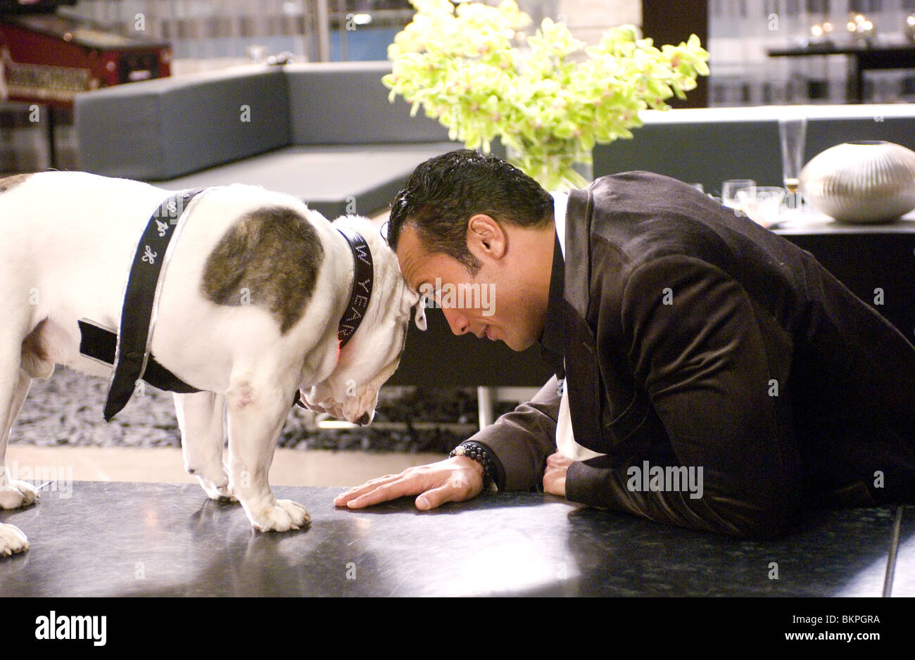 Il piano di gioco (2007) TUBBS, Dwayne Johnson Andy Fickman (DIR) 020 Foto Stock