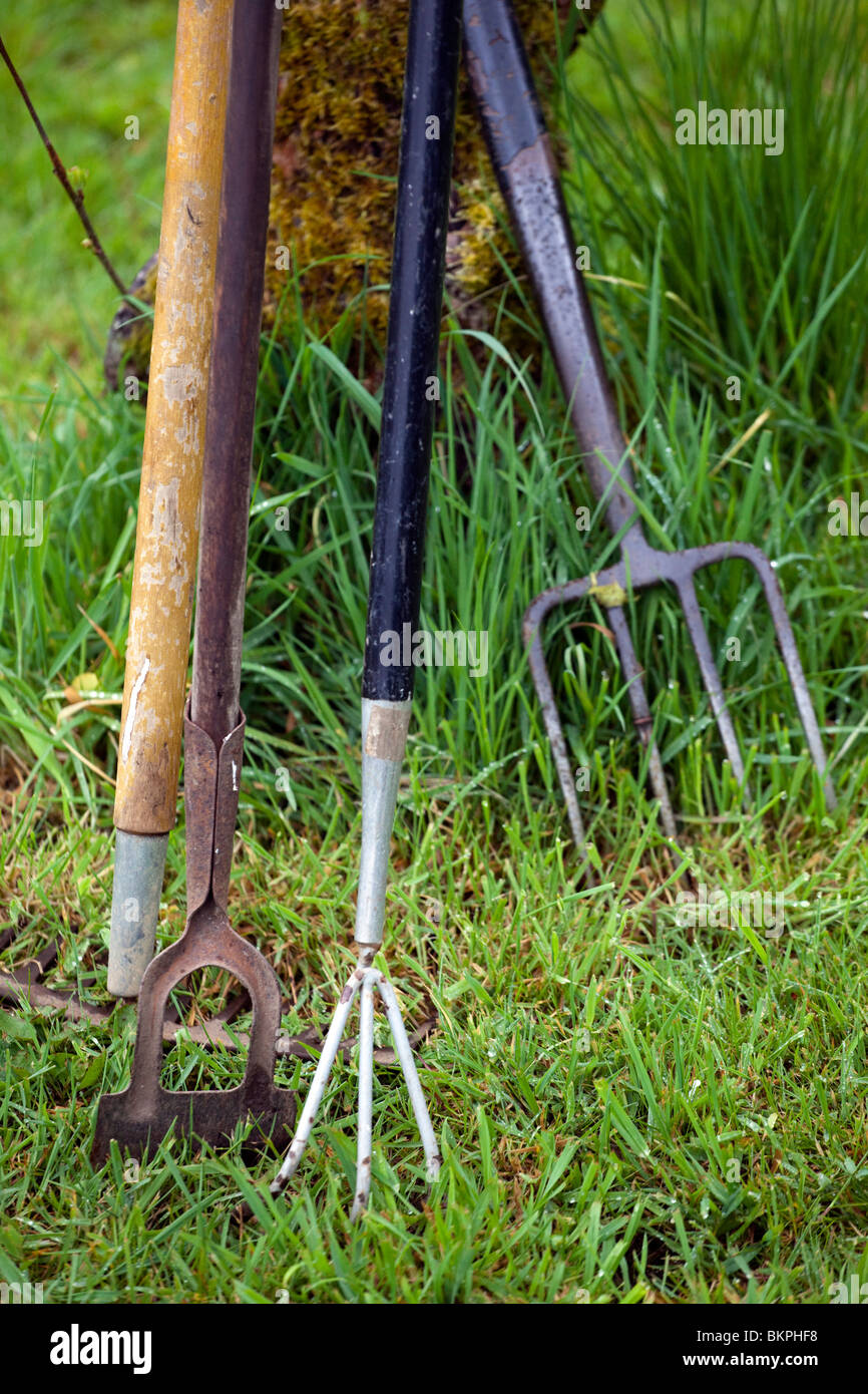 Utensili da giardinaggio forcella zappa etc Foto Stock