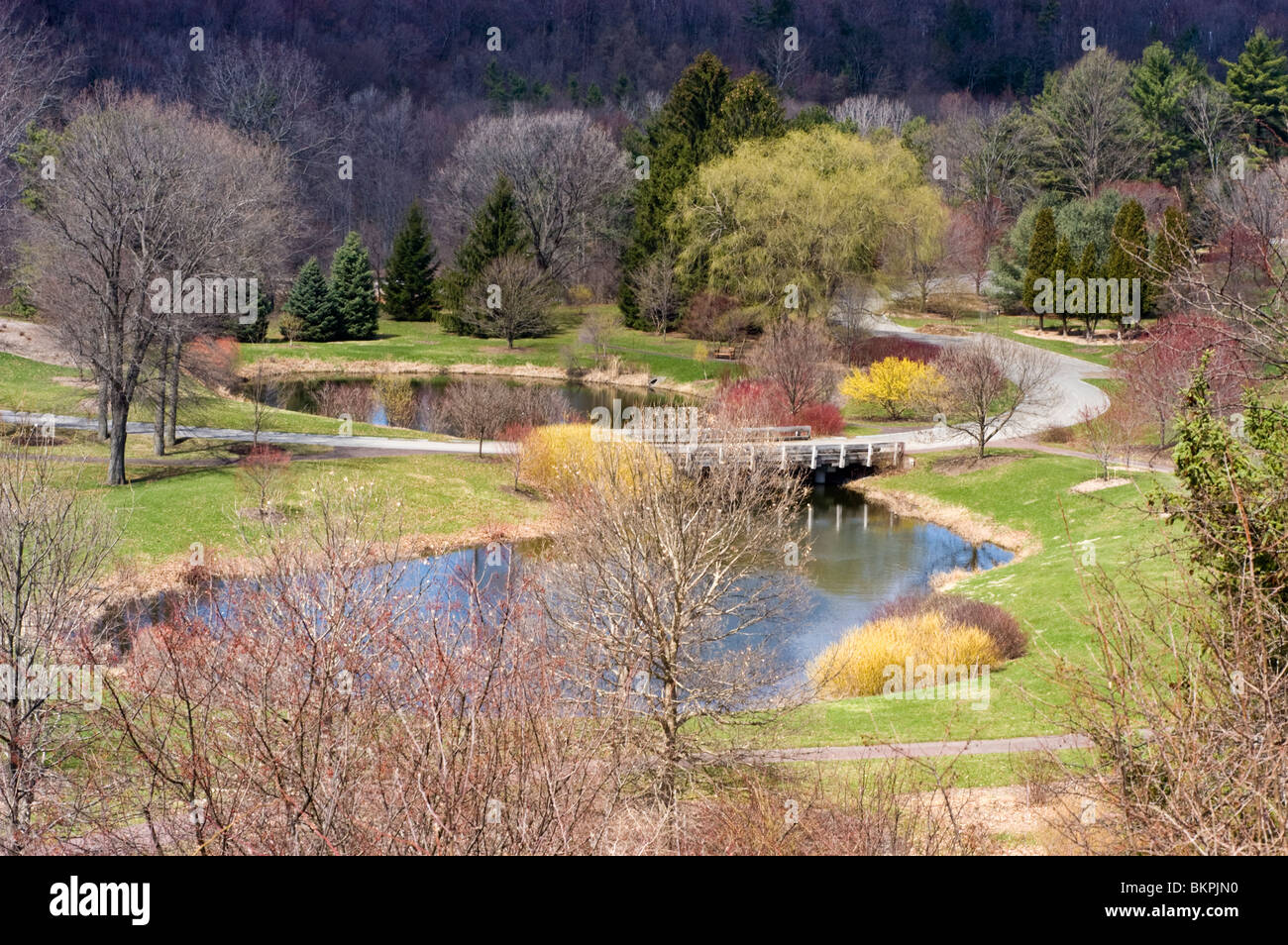 Vista panoramica delle piantagioni di Cornell in primavera con stagni, ponti e alberi in erba, Ithaca, New York, STATI UNITI. Foto Stock