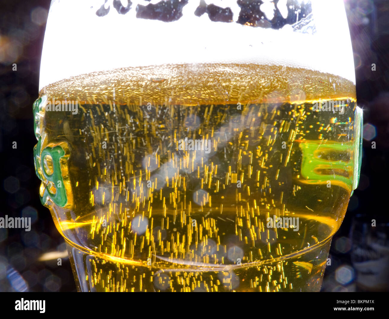 Una pinta bicchiere di spumante rinfrescante birra lager Foto Stock