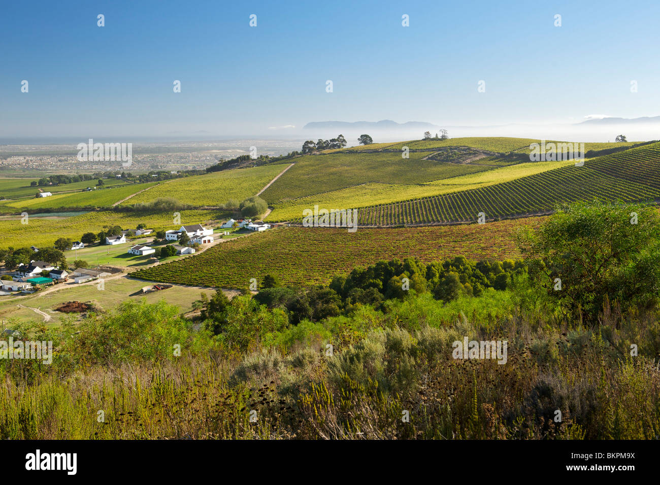 Vista attraverso i vigneti del distretto di Stellenbosch, Provincia del Capo Occidentale, Sud Africa. Foto Stock