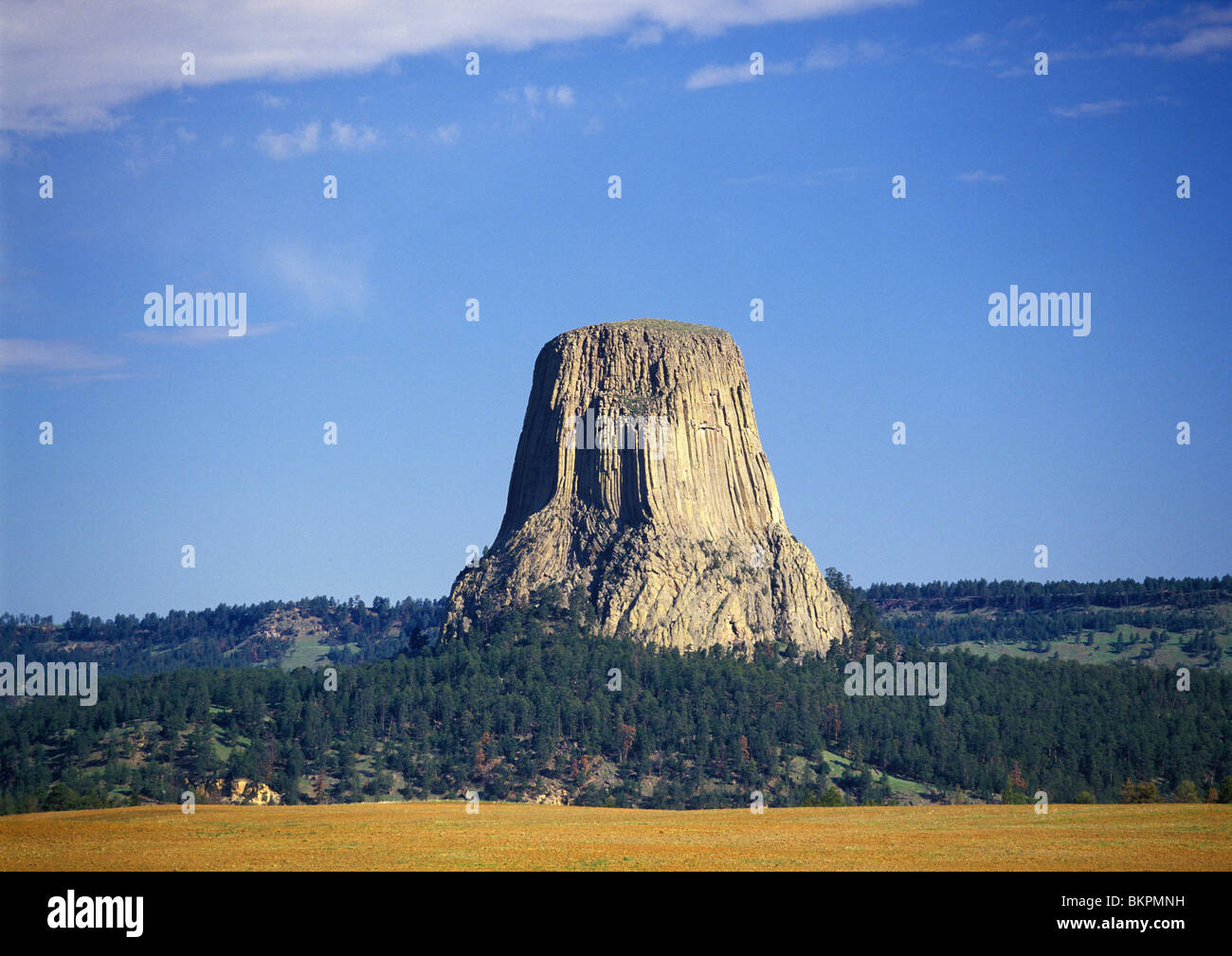 Devils Tower, un punto di riferimento nazionale e meta di viaggio, estate in Devils Tower National Monument, Wyoming USA Foto Stock