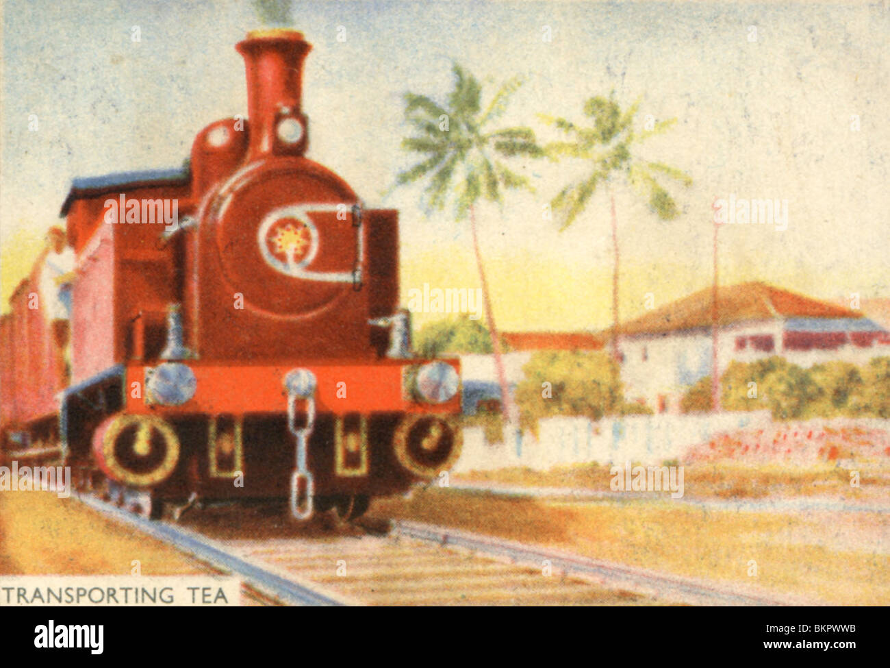 Il trasporto del tè in treno dalla piantagione Foto Stock