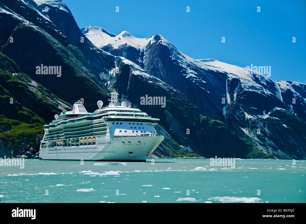 Royal Carribean in nave da crociera braccio Endicott, Tracy Arm-Fords terrore deserto nazionale, a sud-est di Alaska Foto Stock