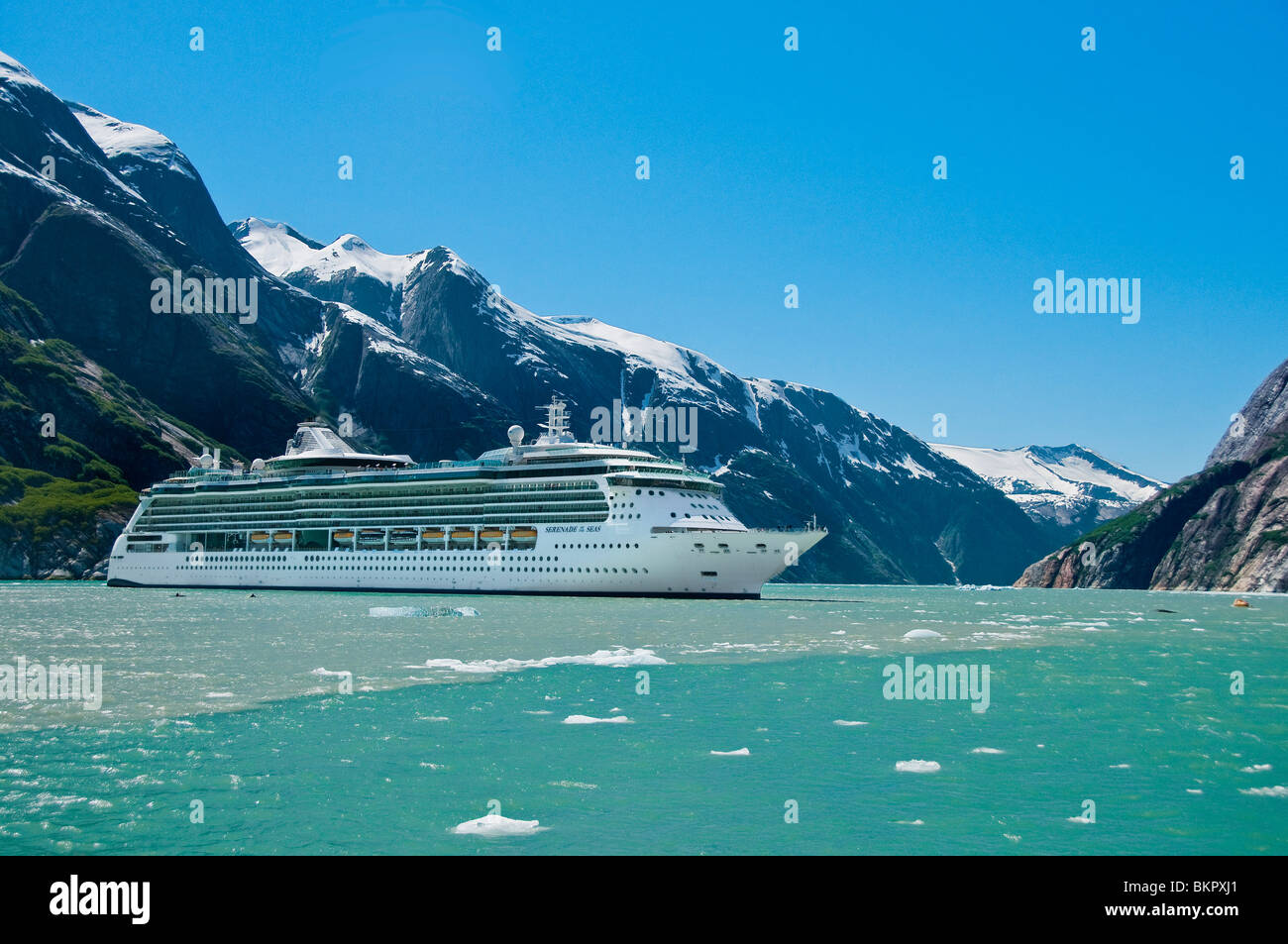 Royal Carribean in nave da crociera braccio Endicott, Tracy Arm-Fords terrore deserto nazionale, a sud-est di Alaska Foto Stock