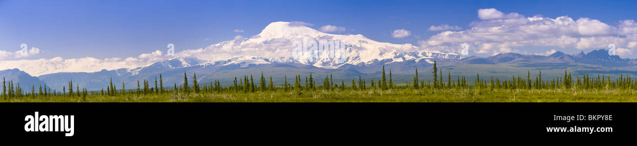 Vista panoramica del monte Sanford e il Monte Wrangell come visto dalla strada Nabesna in Wrangell Saint Elias National Park. Foto Stock