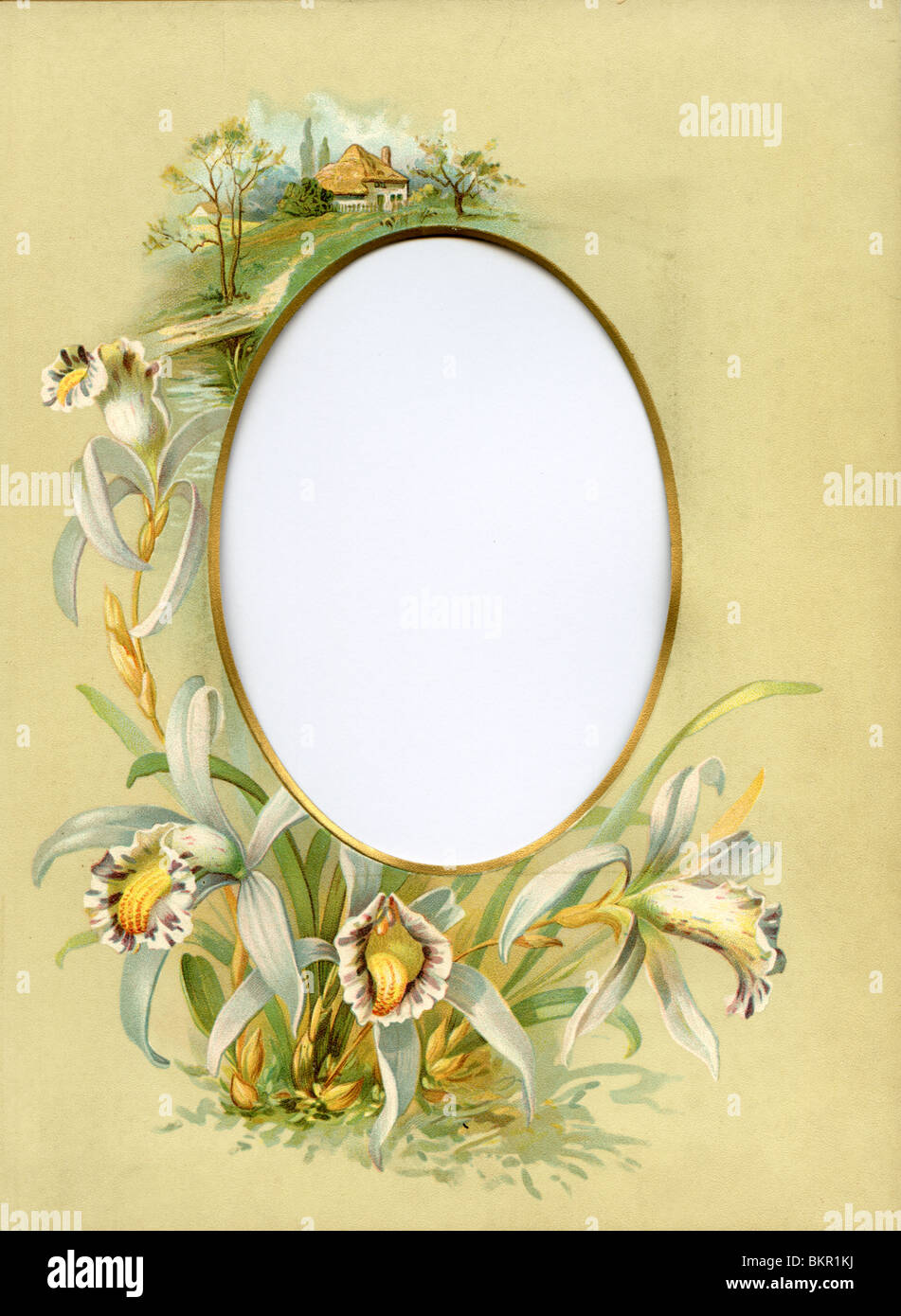Fotografia vittoriano telaio con fiori di orchidea dettaglio Foto Stock