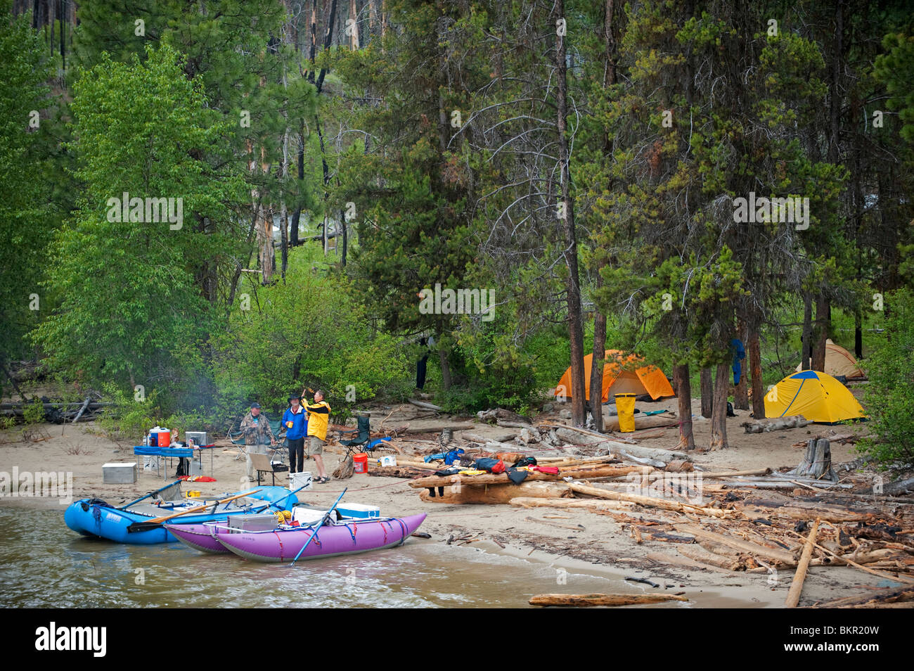 Forcella centrale del fiume di salmoni, Frank Church deserto, Stato di Idaho, U.S.A. Foto Stock