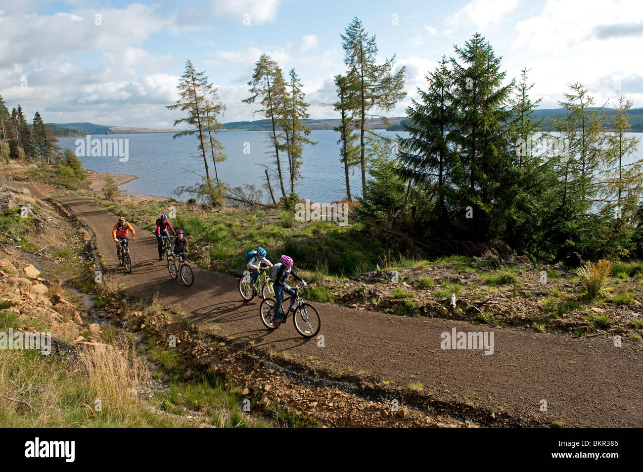 Famiglia Escursioni in bicicletta lungo le rive del lago, Kielder Water & Forest Park, Northumberland, Inghilterra. Foto Stock