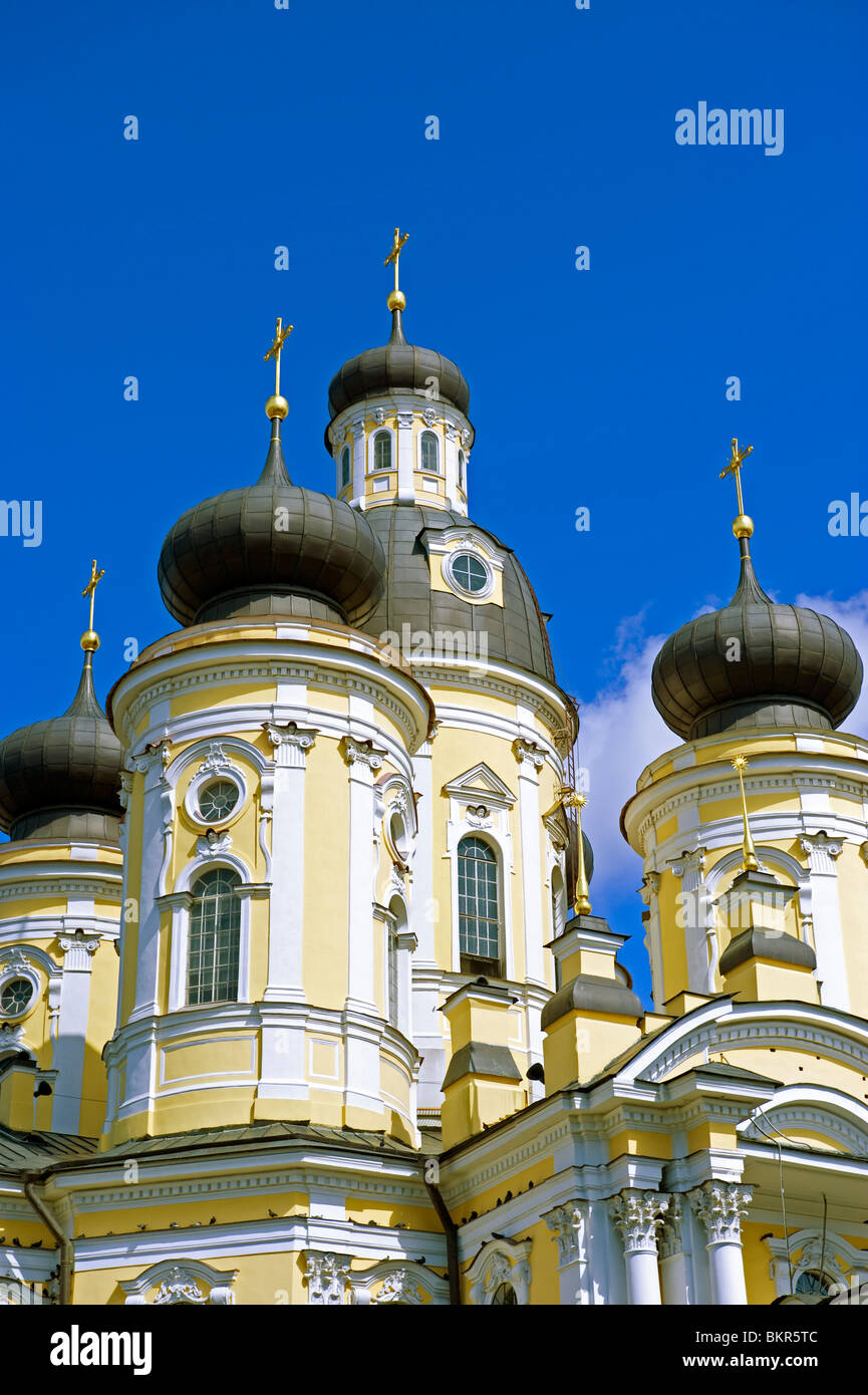 Russia, San Pietroburgo. Le cupole della chiesa Vladimirsky. Foto Stock