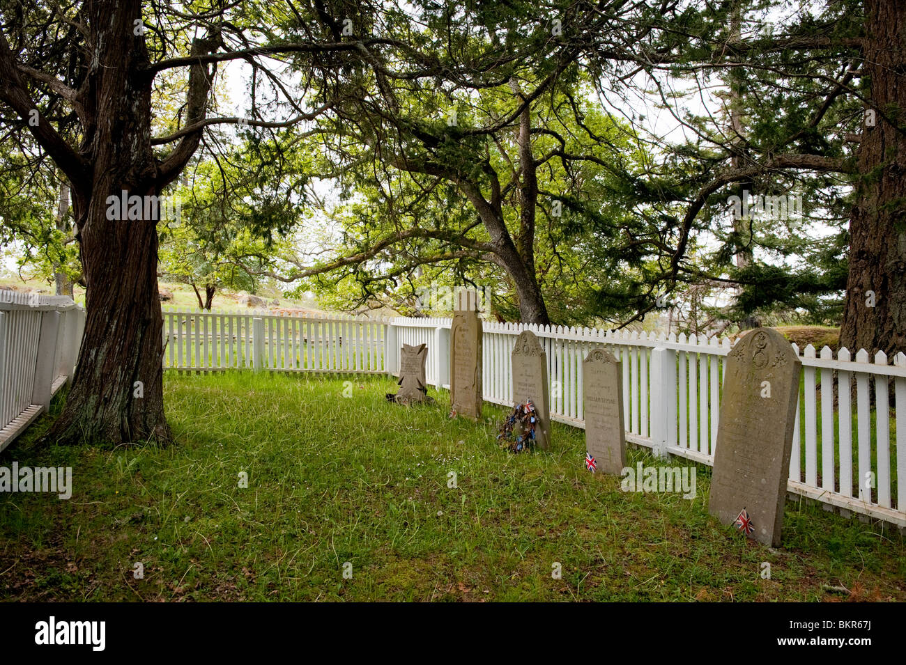 Campo inglese cimitero è su quasi a livello del terreno, circa la metà dei giovani sulla collina di San Juan Isola del Puget Sound di Washington Foto Stock