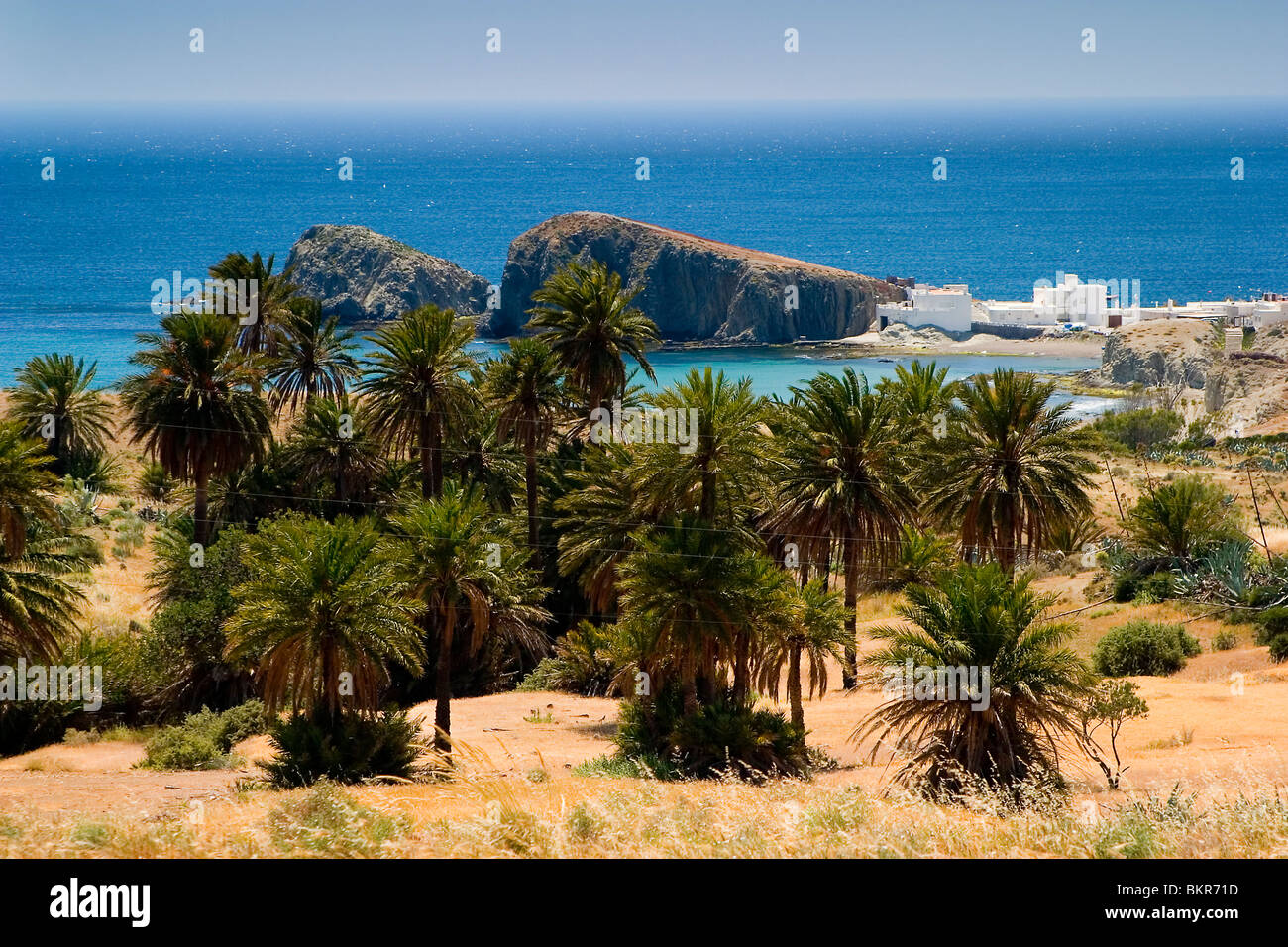Villaggio al mare e palme Foto Stock