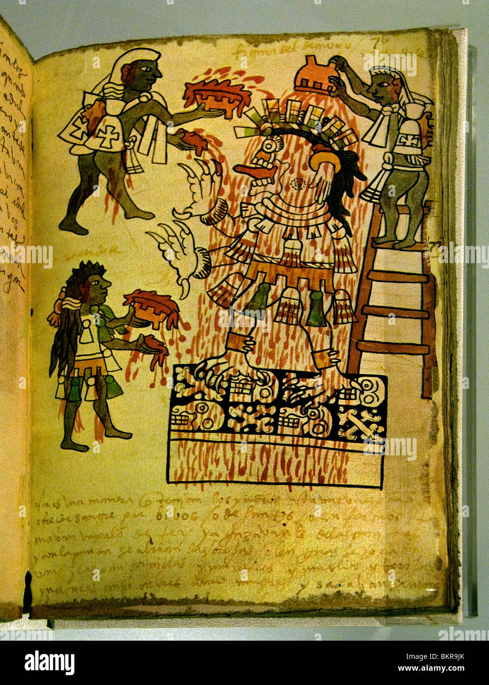 Codex Tro Cortesianus Maya di codices pre colombiana civiltà Maya scritto in geroglifico Maya 1250 1500 ANNUNCIO Foto Stock