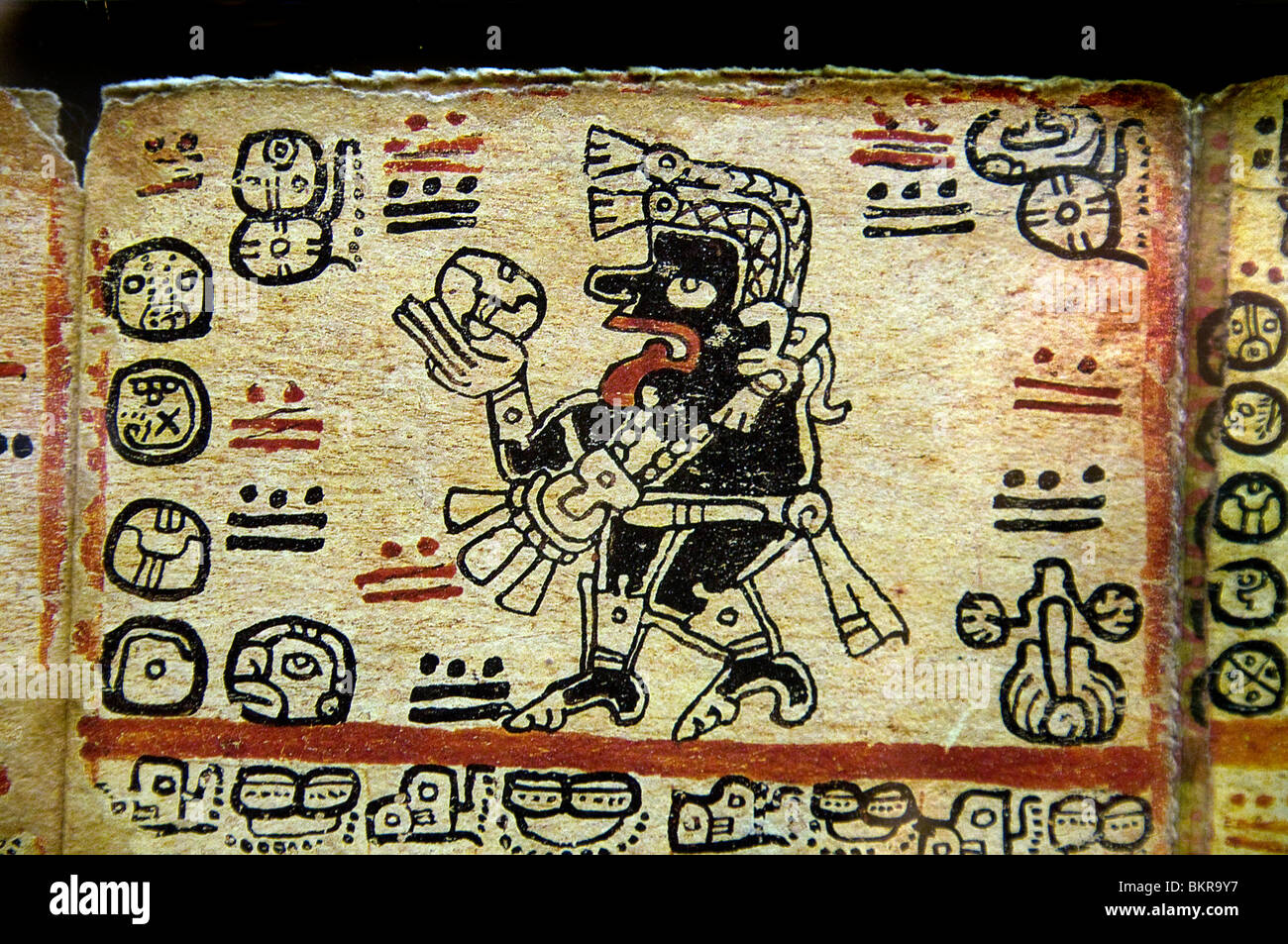 Codex Tro Cortesianus Maya di codices pre colombiana civiltà Maya scritto in geroglifico Maya 1250 1500 ANNUNCIO Foto Stock