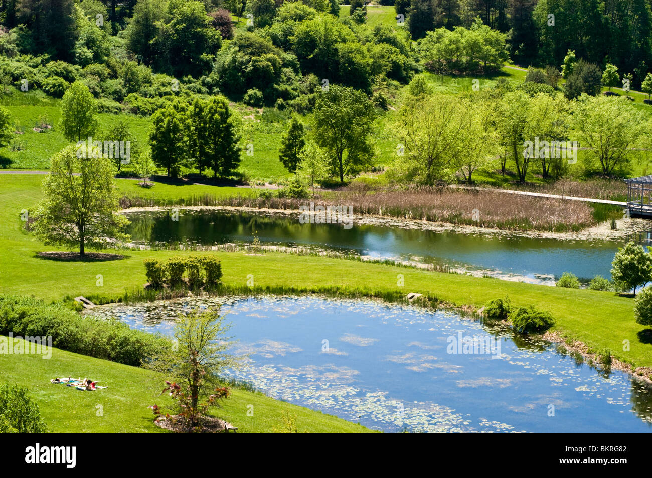 Le piantagioni di Cornell si affacciano, Ithaca, New York, Stati Uniti d'America Foto Stock