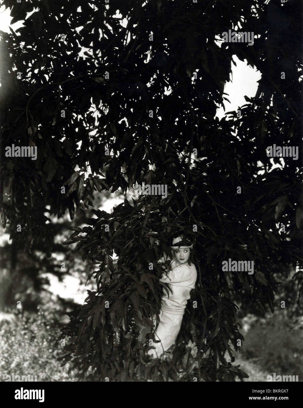 La fiera CO-ED (1927) Marion Davies SAM LEGNO (DIR) 001 Foto Stock